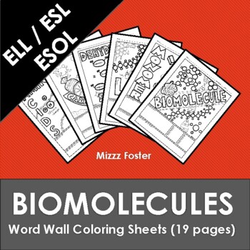 Preview of ELL, ESOL, ESL Biomolecules / Biochemistry Word Wall Coloring Sheets (19 pages)
