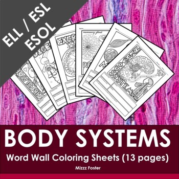 Preview of ELL / ESOL / ESL Human Body Systems Word Wall Coloring Sheets