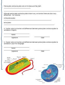 Multilingual Science/Biology- Eukaryotic Cells Extra Practice (Homework)