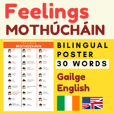 EMOTIONS Gaeilge | FEELINGS Gaeilge English vocabulary wor
