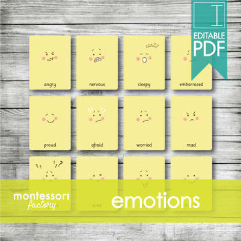 Preview of EMOTIONS • Montessori Cards • Flash Cards • Three Part Cards