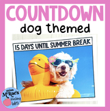 Summer Countdown | End of Year Bulletin Board | Dog Themed