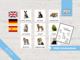 ENDANGERED ANIMALS • 24 Montessori Flash Cards • German En