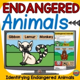 ENDANGERED ANIMALS: DIGITAL BOOM CARDS (PRE-RESEARCH) DIST