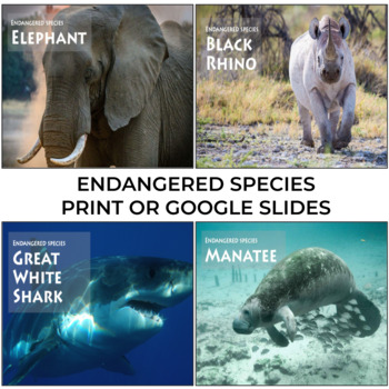 Preview of ENDANGERED SPECIES | ENDANGERED SPECIES INTERACTIVE OR PRINT