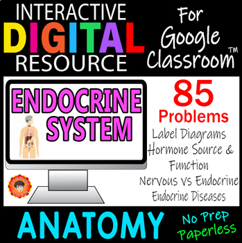 Preview of ENDOCRINE SYSTEM ~Digital Resource for Google Slides~ ANATOMY