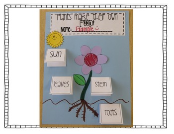 ENERGY! Photosynthesis, Producers, Consumers, Food Chains and More!