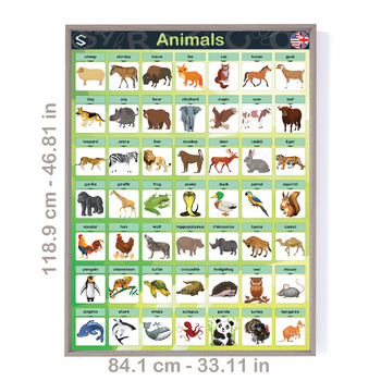 ENGLISH Animals Vocabulary Large Posters, With 49 Names And Images.