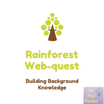 Preview of ENY Rainforest Webquest