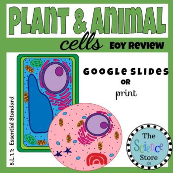 EOY Plant & Animal Cell Review by The Science Store 101 | TPT