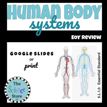 Preview of EOY Review: Human Body Systems