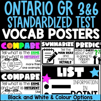Preview of Ontario Standardized Test - Vocab Posters