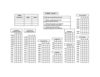 Preview of ESDM Checklist excel Grid (All 4 levels)
