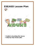 ESE/ASD Lesson Plan (Nouns)