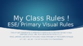 ESE Visual Classroom Rules *Editable*