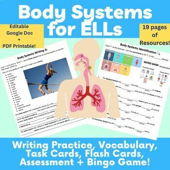 Preview of ESL Activities - Human Body Systems Unit - Secondary ELL