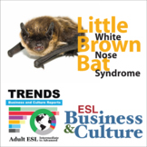 Little Brown Bat Adult ESL Conversation Lesson EFL ELL Newcomer