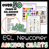 ESL Anchor Charts | Newcomers | ELL Beginner Anchor Charts