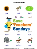 ESL Animal Body Parts Worksheets, Games, Activities and Fl