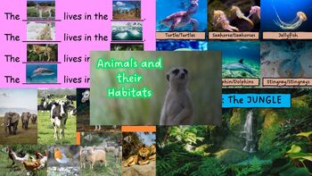 Preview of ESL Animals and their habitats: Lesson Plan and PowerPoint