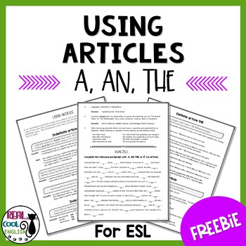 Preview of FREE ESL Article Use (A, An, The and No article)