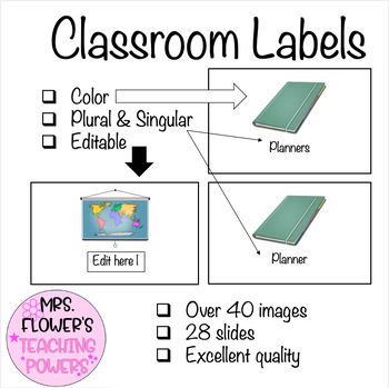 Preview of ESL Classroom Labels for Newcomers, Middle School and High School Students