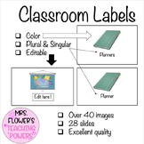 ESL Classroom Labels for Newcomers, Middle School and High