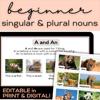 Preview of ESL-ELD Beginner & Newcomer (A1) | Singular & Plural Nouns with Animals Vocab.