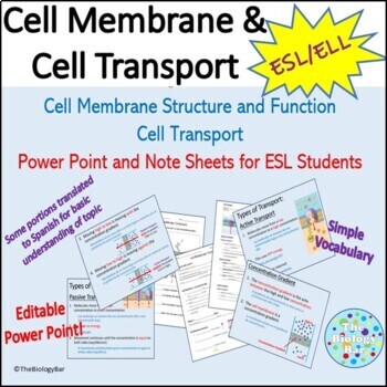 Preview of ESL ELL Biology Cell Transport Cell Membrane PPT Notes for Spanish Speakers