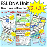 ESL ELL Biology DNA Unit Bundle Structure Function Replication