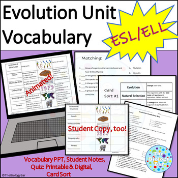 Preview of ESL ELL Biology Evolution Vocabulary Activities
