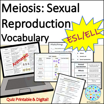 Preview of ESL ELL Biology Meiosis Unit Sexual Reproduction Vocabulary Activities