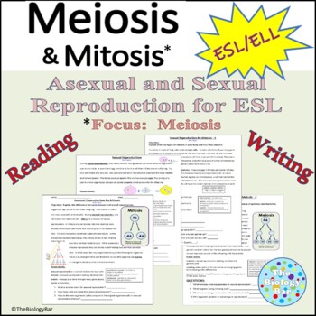 Preview of ESL ELL Biology Meiosis and Mitosis Reading and Questions