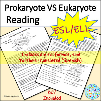 Preview of ESL ELL Biology Prokaryote vs Eukaryote Cell Reading Worksheet