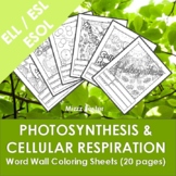 ESL / ELL / ESOL Photosynthesis and Cellular Respiration W
