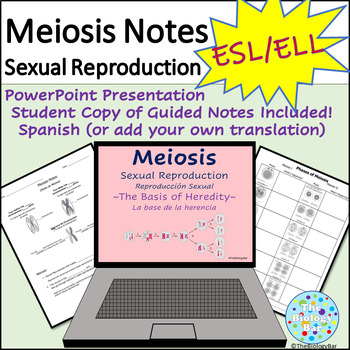 Preview of ESL ELL Meiosis PPT and Guided Notes