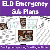 ESL Emergency Sub Plans