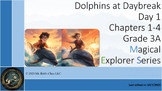 ESL English Lesson for Grade 3: 'Dolphins at Daybreak' - M