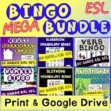 ESL Beginners Vocabulary Games BINGO Bundle Print & Google Slides