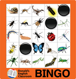 Insect Bingo ESL ELL Newcomer Game