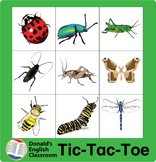 Insect Tic Tac Toe ESL ELL Newcomer Game