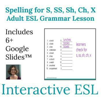 Preview of ESL Grammar Singular and Plural Spelling for Nouns ending in S SS SH X and CH
