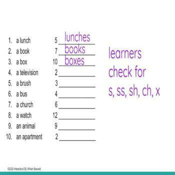 https://ecdn.teacherspayteachers.com/thumbitem/ESL-Grammar-Singular-and-Plural-Spelling-for-Nouns-ending-in-S-SS-SH-X-and-CH-6276440-1676900728/original-6276440-2.jpg