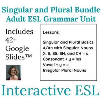 Preview of ESL Grammar Singular and Plural Unit Bundle for Adults