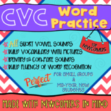 ESL NEWCOMER Activities Vocabulary & Phonics, CVC, Short V