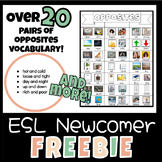ESL Newcomer Activity FREEBIE | ELL Beginner Anchor Charts