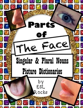 Preview of ESL Parts of the Face:  Vocabulary Picture Dictionaries Singular Plural