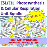 ESL Photosynthesis and Cellular Respiration Biology Unit Bundle