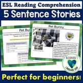 ESL Reading | Five Sentence Stories | Beginner Level