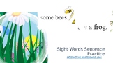 ESL: Reading Vocabulary Sight Words, Sentence Building Pra